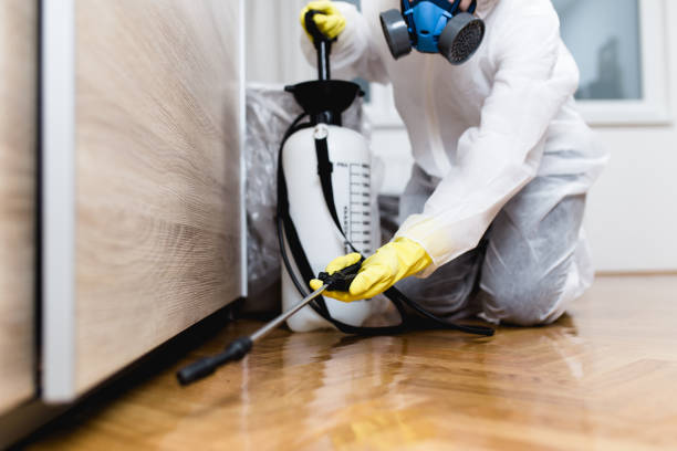 Best Best Pest Control Companies  in Clksville, AR
