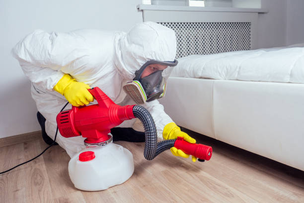 Best Wasp Removal Services  in Clksville, AR