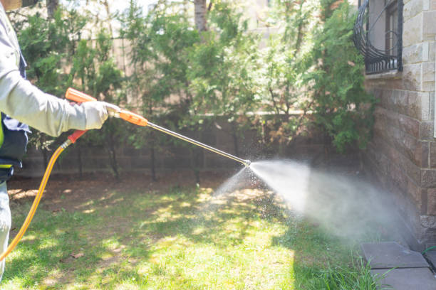 Best Rat Extermination Near Me  in Clksville, AR